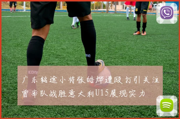 广东铭途小将张皓烨遭殴打引关注曾率队战胜意大利U15展现实力